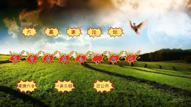 4949澳门开奖结果，精准解答解释落实_Sims83.31.81