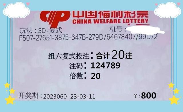 2024澳门天天开好彩大全，完美解答解释落实_3D78.26.19