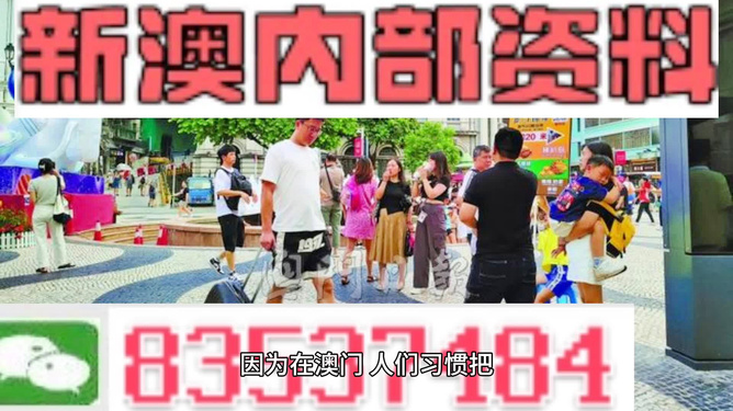 2024澳门资料正版大全，精准解答解释落实_3DM20.99.48